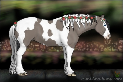 Horse Color:Grullo Splash Tobiano