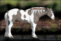 Horse Color:Grullo Splash Tobiano 