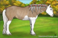 Horse Color:Silver Brown Dun Splash Rabicano 