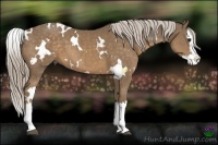 Horse Color:White Spotted Chocolate Palomino Splash 