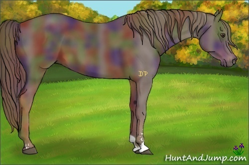 Horse Color:Nacre Liver Chestnut Sabino