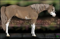 Horse Color:Chocolate Palomino Sabino 