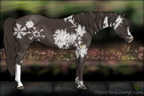 Horse Color:Liver Chestnut Ice 