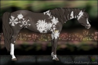 Horse Color:Liver Chestnut Ice 