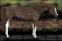 Horse Color:White Spotted Liver Chestnut 