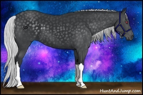 Horse Color:Silver Black Chinchilla 