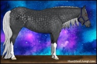 Horse Color:Silver Black Chinchilla 