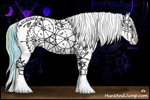 Horse Color:Watercolor White Spotted Buckskin Onyx Appaloosa Rabicano 