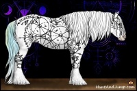 Horse Color:Watercolor White Spotted Buckskin Onyx Appaloosa Rabicano 