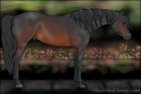 Horse Color:Brown 