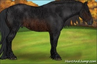 Horse Color:Brown Ice 