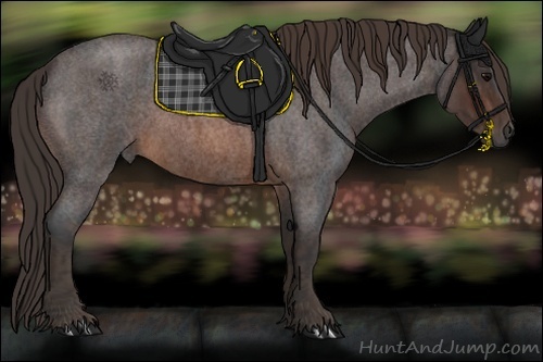 Horse Color:Brown Roan Rabicano  Brindle