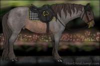 Horse Color:Brown Roan Rabicano Brindle
