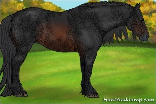 Horse Color:Brown Ice Rabicano 