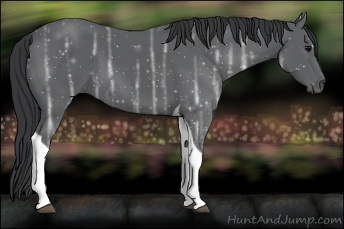 Horse Color:Black Ice Tobiano 