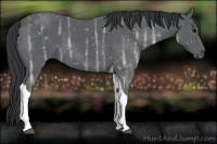 Horse Color:Black Ice Tobiano