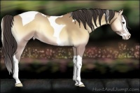 Horse Color:Sable Cream Champagne Onyx Splash Tobiano Rabicano