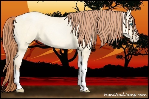 Horse Color:Amber Cream Champagne Pearl Dun Tobiano 