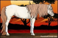 Horse Color:Amber Cream Champagne Pearl Dun Tobiano