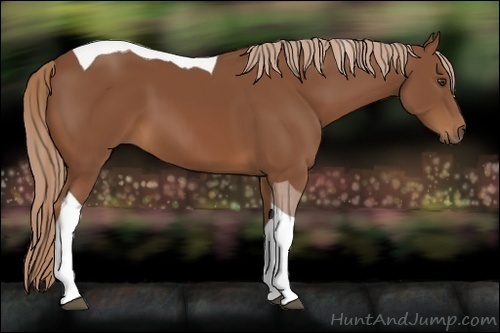 Horse Color:Chestnut Tobiano