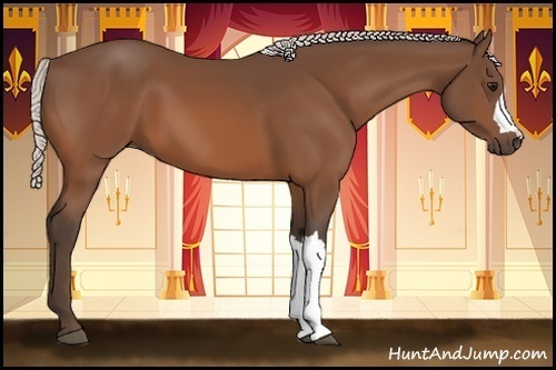 Horse Color:Silver Bay 