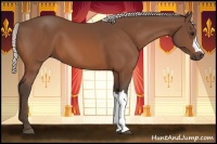 Horse Color:Silver Bay 