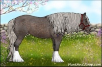 Horse Color:Silver Brown Tobiano Varnish Rabicano