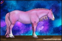 Horse Color:Watercolor Liver Chestnut Pearl Sabino Rabicano 