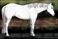 Horse Color:White Spotted Liver Red Dun Snowflake Varnish 