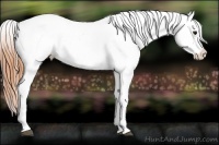 Horse Color:Bay Splash Varnish 