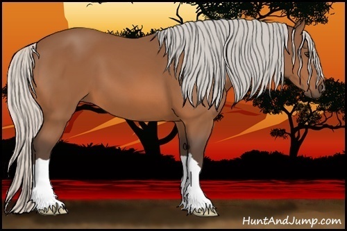 Horse Color:Silver Bay 