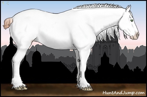 Horse Color:Amber Champagne Roan Varnish 