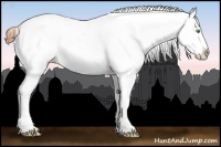 Horse Color:Amber Champagne Roan Varnish 