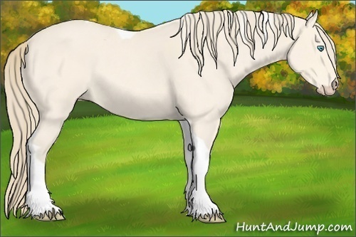 Horse Color:Perlino Roan Tobiano