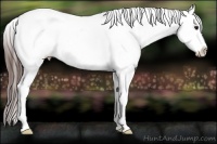 Horse Color:Bay Dun Splash Tobiano Varnish 