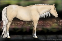 Horse Color:Silver Classic Champagne Pearl Sabino 