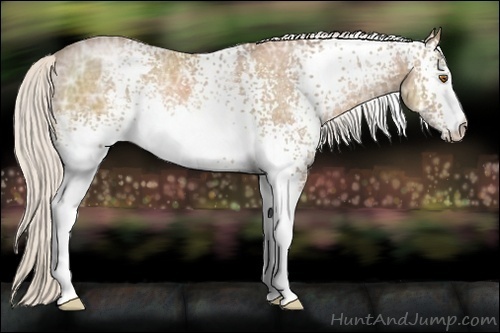 Horse Color:White Spotted Silver Black Ice Pearl Rabicano