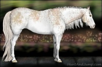 Horse Color:White Spotted Silver Black Ice Pearl Rabicano 