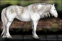 Horse Color:White Spotted Silver Black Ice