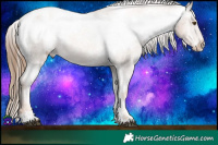 Horse Color:Liver Chestnut Pearl Sabino Appaloosa Rabicano 