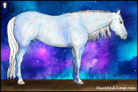 Horse Color:Gray White Spotted Classic Champagne Roan Dun Frame Rabicano