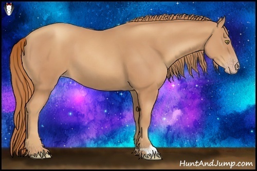 Horse Color:Gold Champagne 