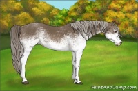 Horse Color:White Spotted Chocolate Palomino 