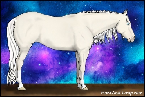 Horse Color:Silver Smoky Creme Roan Dun 