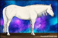 Horse Color:Silver Smoky Creme Roan Dun 