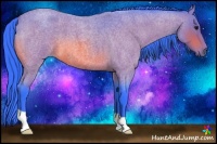 Horse Color:Watercolor Bay Roan 