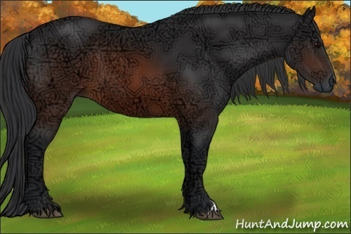 Horse Color:Brown Ice 