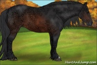 Horse Color:Brown Ice 