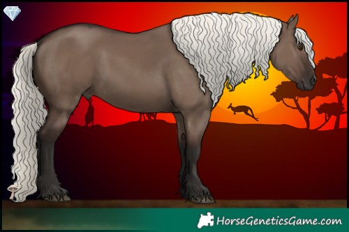 Horse Color:Liver Red Dun Mushroom 