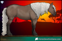Horse Color:Liver Red Dun Mushroom